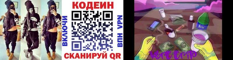 дарнет шоп  сайты даркнета как зайти  Codein Purple Drank  Курильск  мега ссылка 